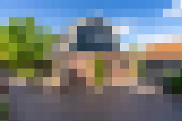 Maasdijk 23 Wijk en Aalburg thumbnail 4