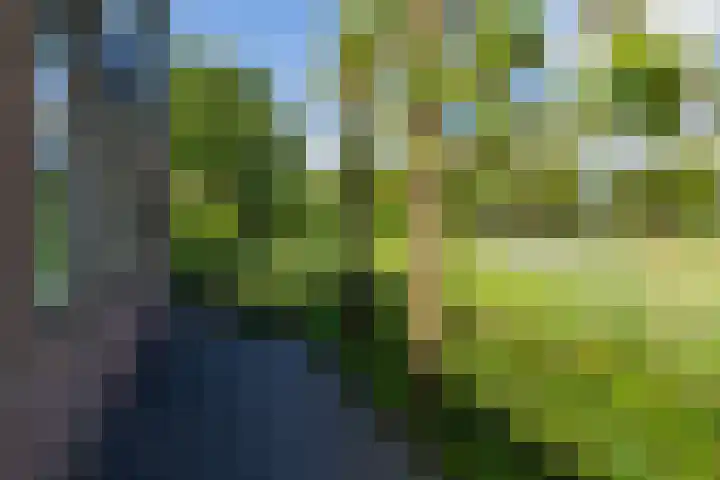 Maasdijk 23 Wijk en Aalburg thumbnail 41