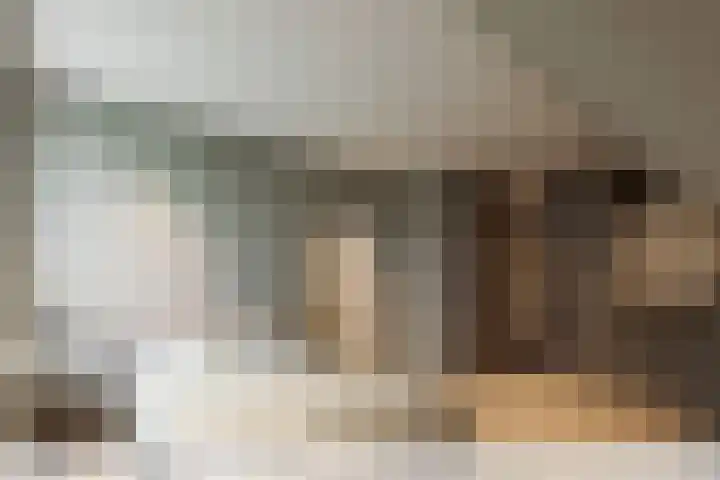 Maasdijk 27 a Hedel thumbnail 11