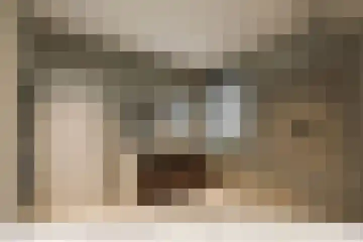 Maasdijk 27 a Hedel thumbnail 12