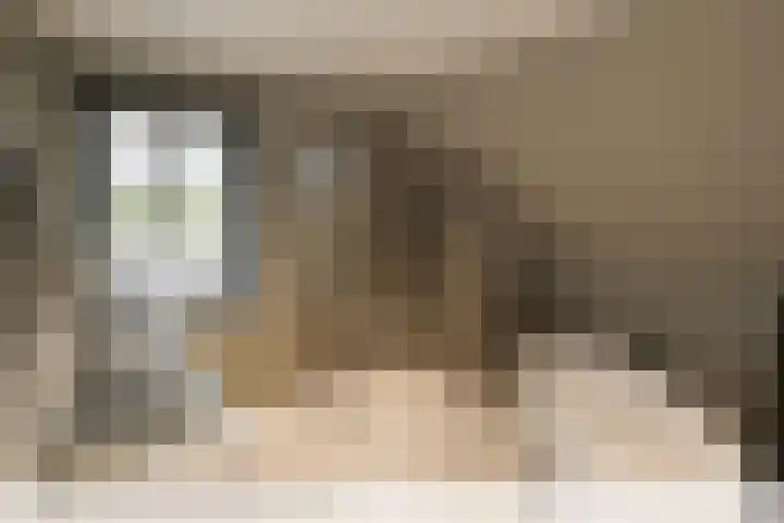 Maasdijk 27 a Hedel thumbnail 13