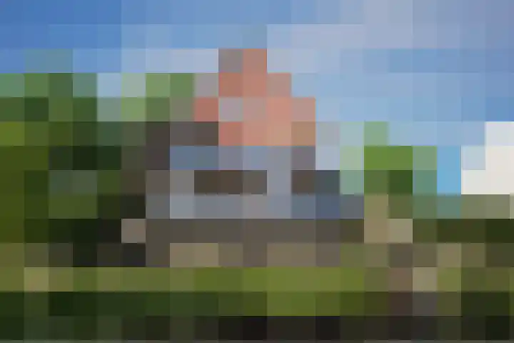 Maasdijk 27 a Hedel thumbnail 7