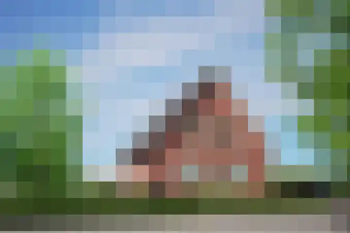 Maasdijk 27 a Hedel thumbnail 8