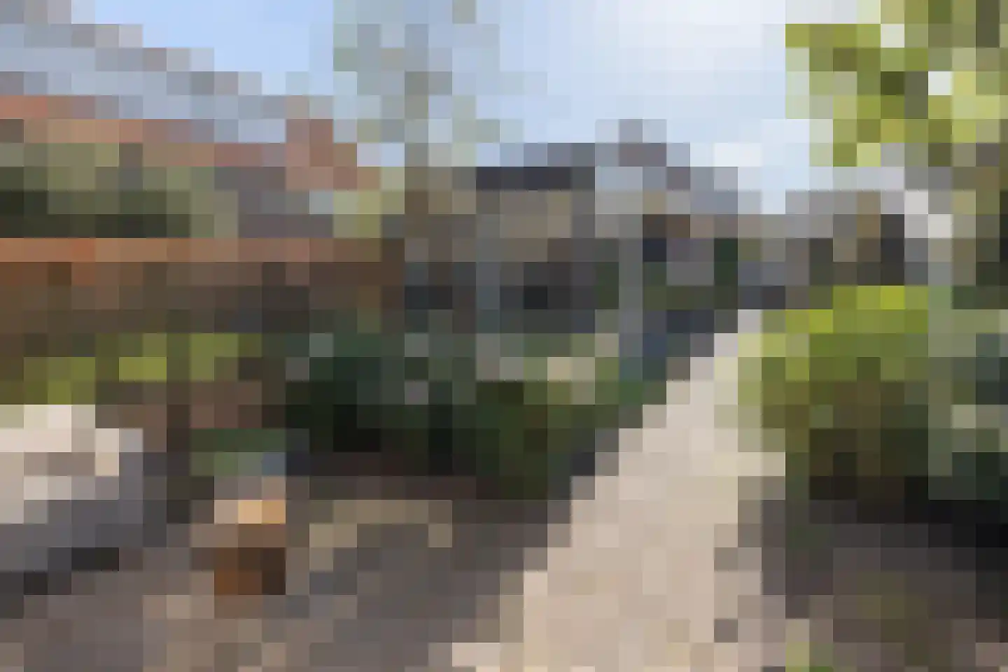 Maasdijk 27 a Hedel thumbnail 9