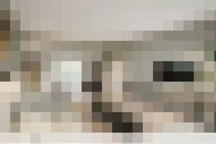 Maasdijk 27 a Hedel thumbnail 9