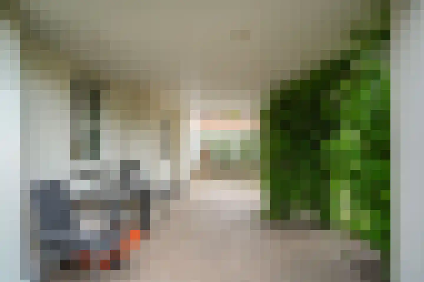 Maasdijk 27 Aalst thumbnail 33