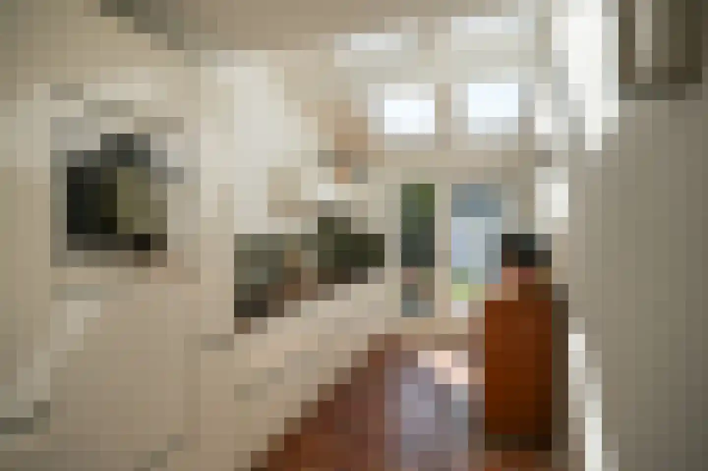 Maasdijk 28 Appeltern thumbnail 15