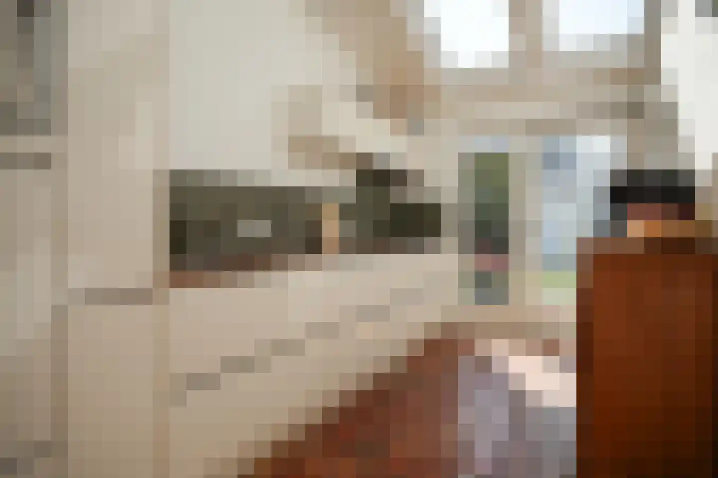 Maasdijk 28 Appeltern thumbnail 17