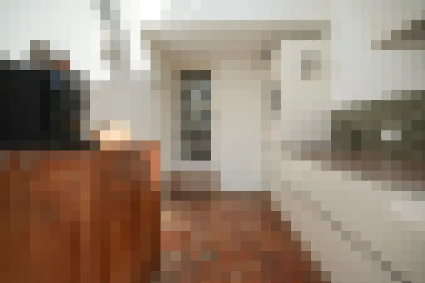Maasdijk 28 Appeltern thumbnail 18