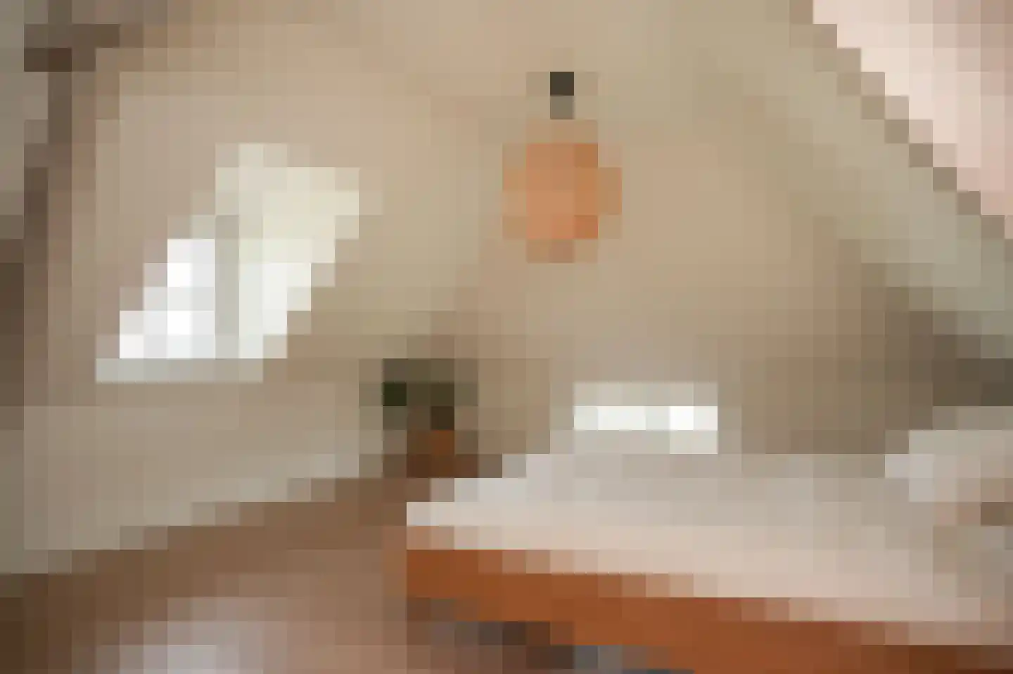 Maasdijk 28 Appeltern thumbnail 27