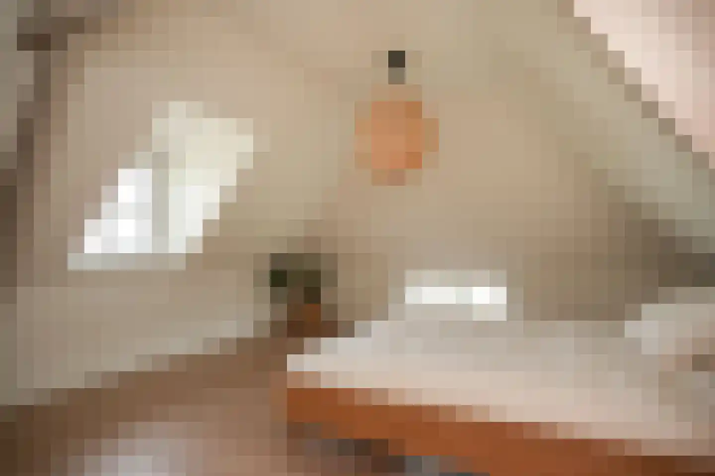 Maasdijk 28 Appeltern thumbnail 28