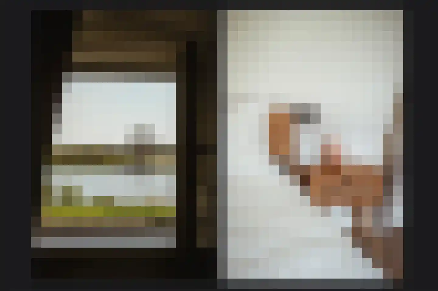 Maasdijk 28 Appeltern thumbnail 30