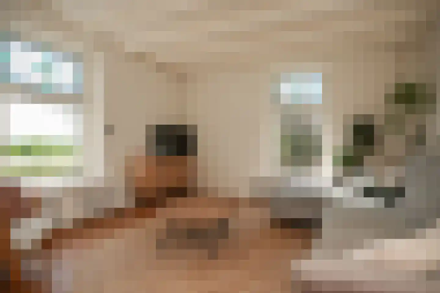 Maasdijk 28 Appeltern thumbnail 8