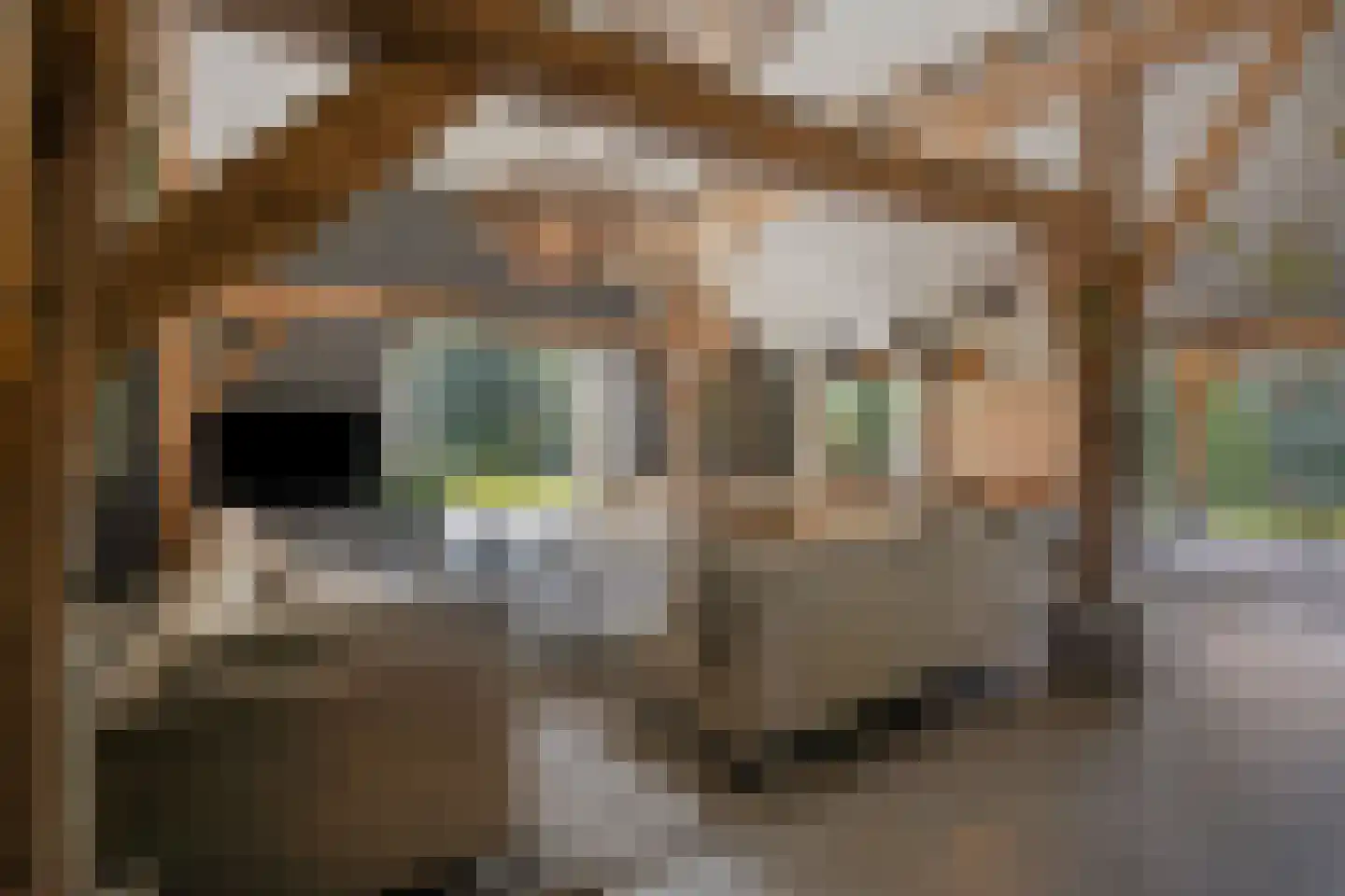 Maasdijk 28 Neerloon thumbnail 21
