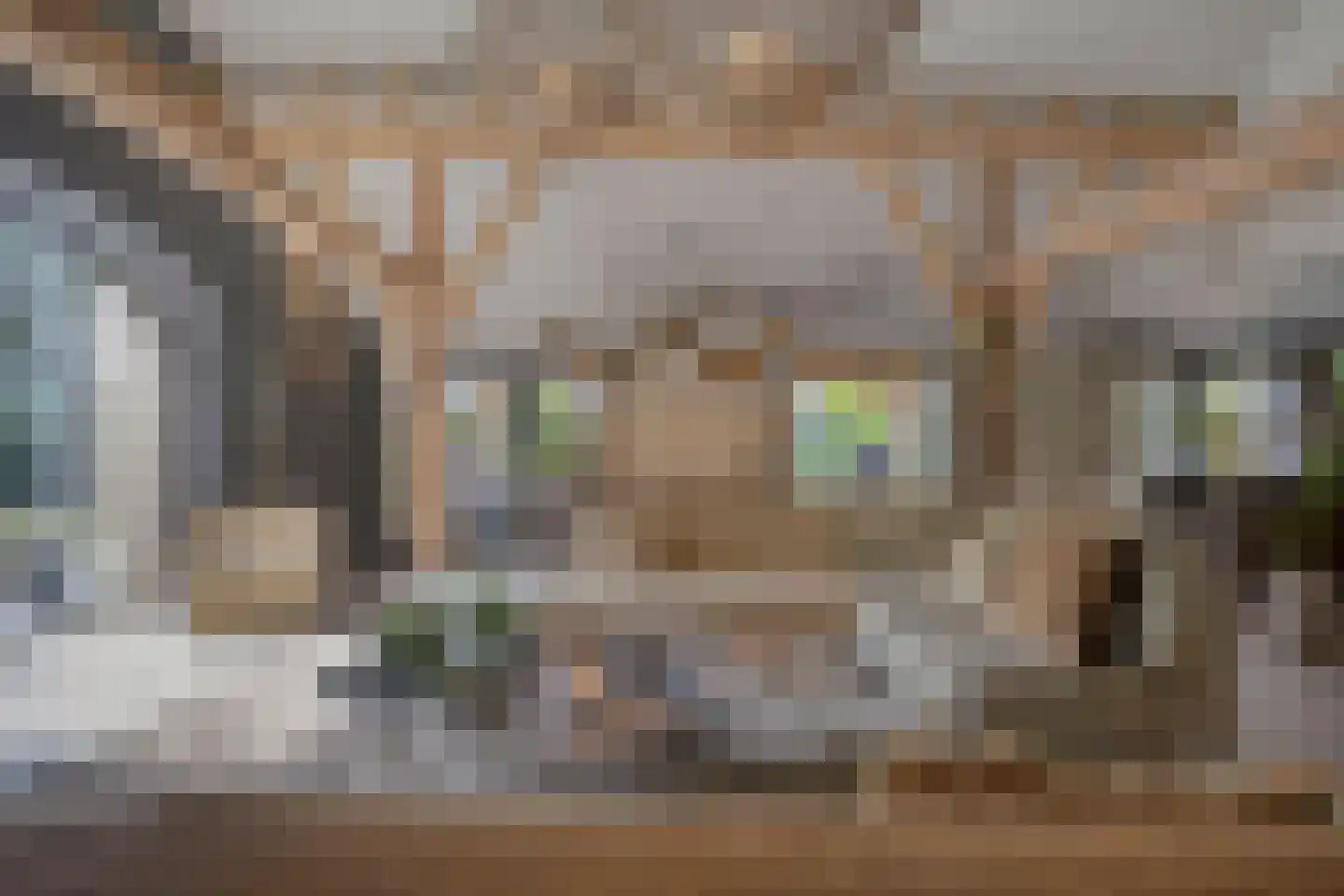 Maasdijk 28 Neerloon thumbnail 7