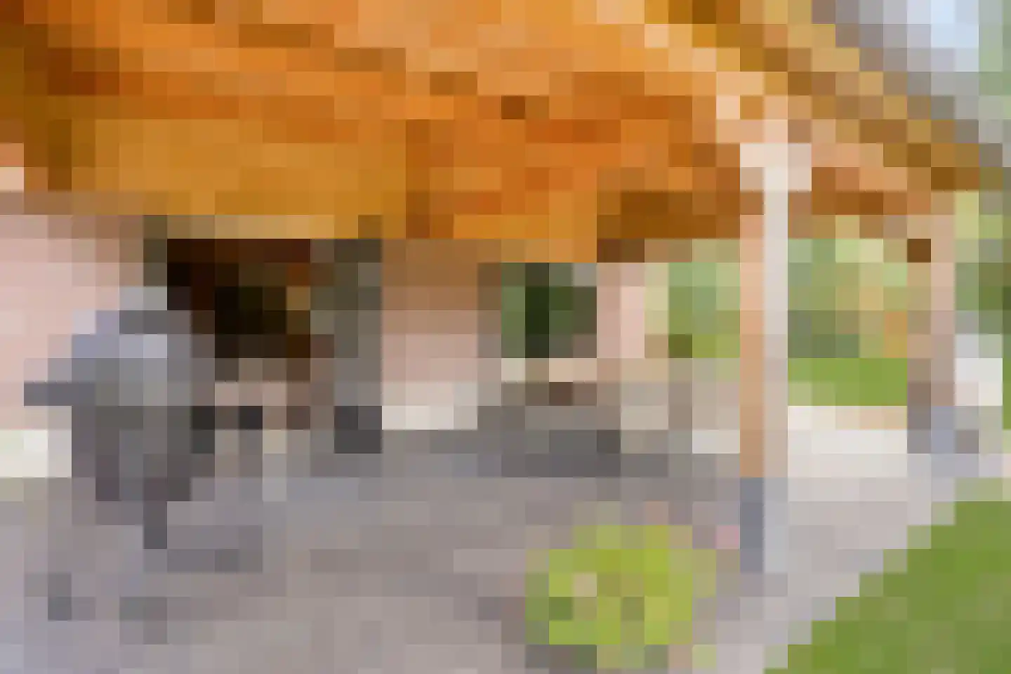 Maasdijk 28 Neerloon thumbnail 9