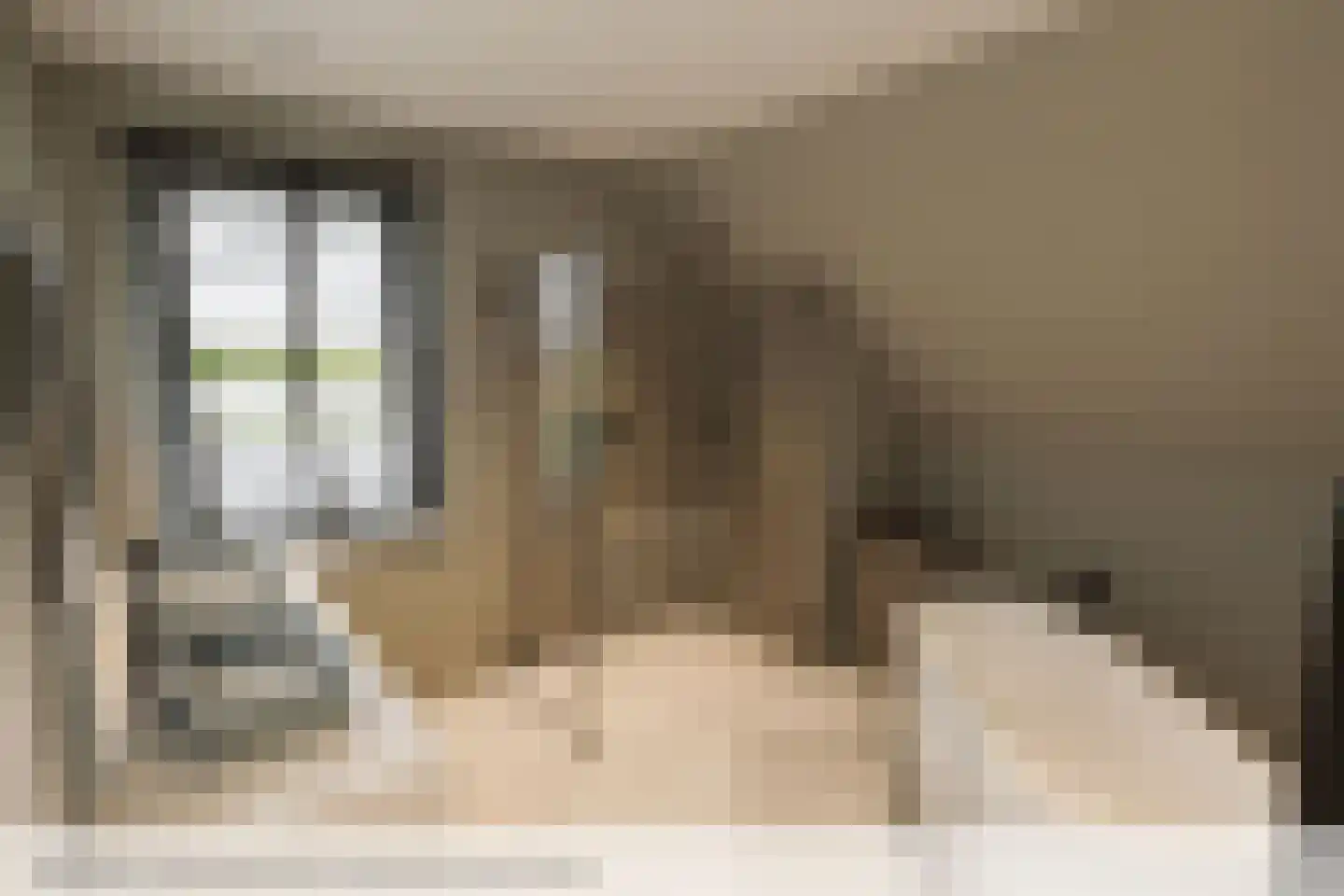 Maasdijk 29 a Hedel thumbnail 13
