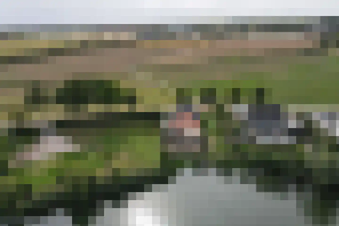 Maasdijk 29 a Hedel thumbnail 5