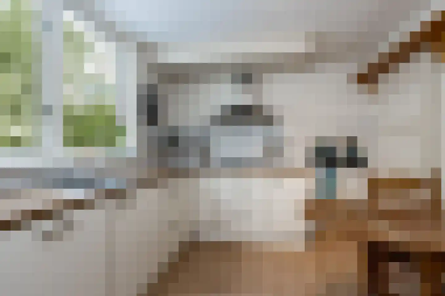 Maasdijk 3 Aalst thumbnail 21