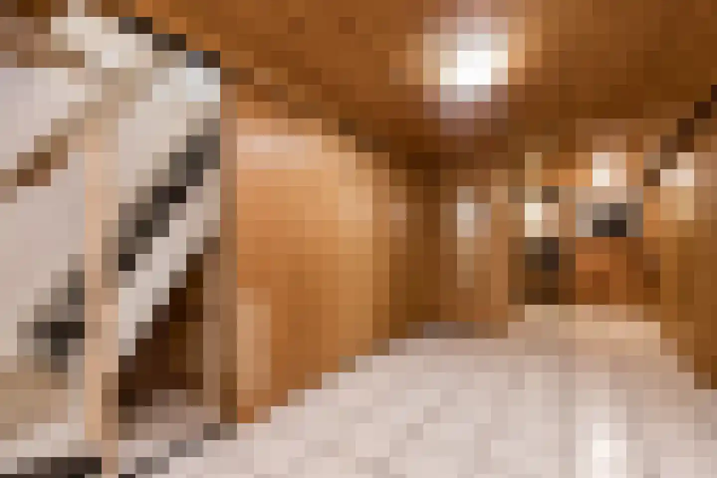 Maasdijk 3 Aalst thumbnail 33
