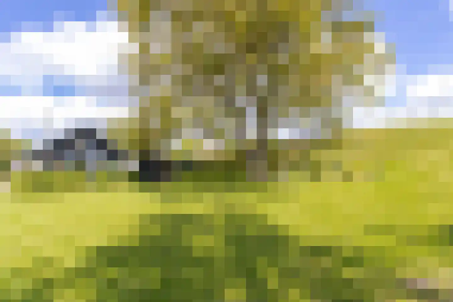Maasdijk 3 Aalst thumbnail 44
