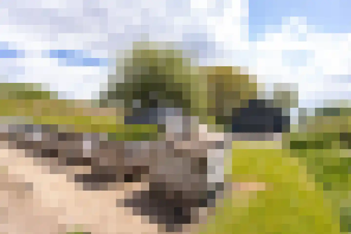 Maasdijk 3 Aalst thumbnail 50