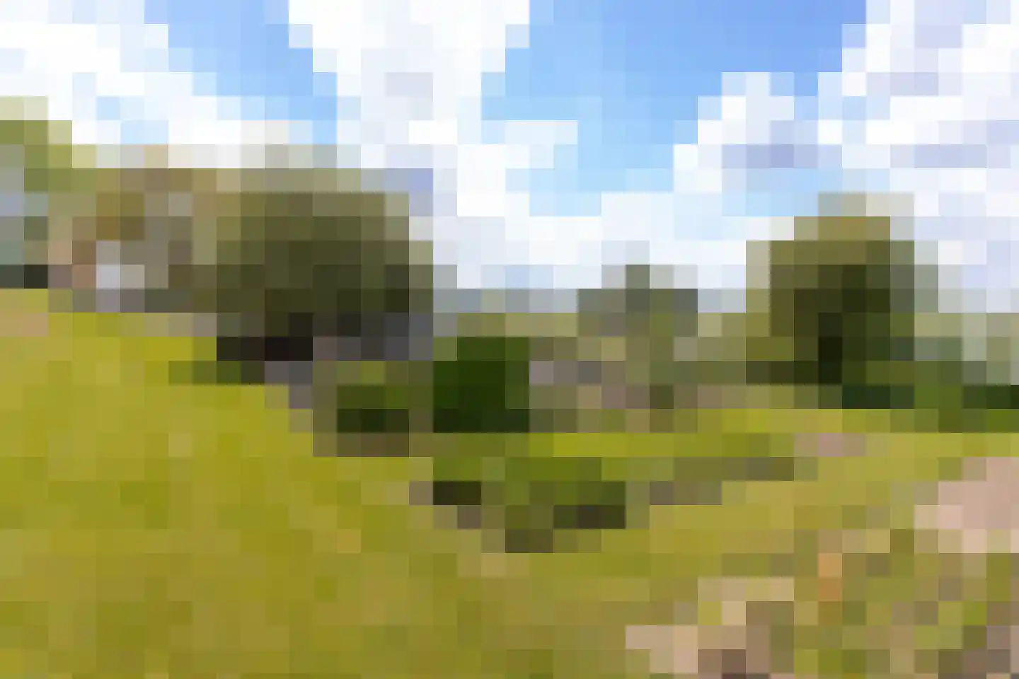 Maasdijk 3 Aalst thumbnail 52