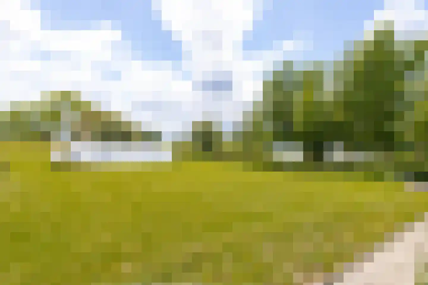 Maasdijk 3 Aalst thumbnail 55