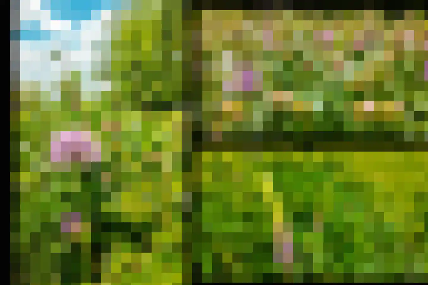 Maasdijk 3 Aalst thumbnail 63