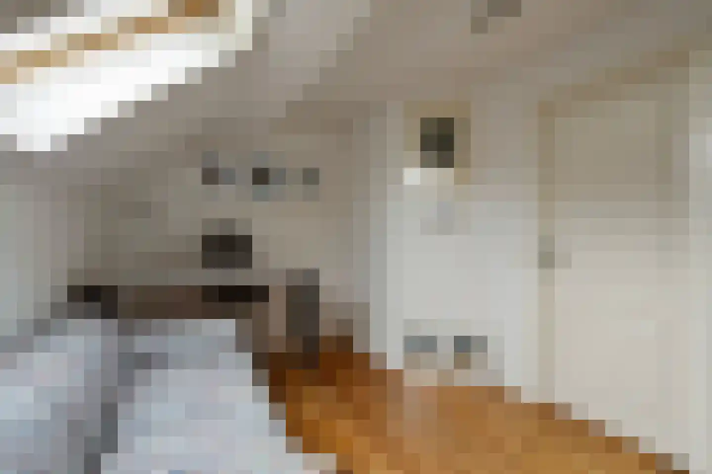 Maasdijk 3 Megen thumbnail 32