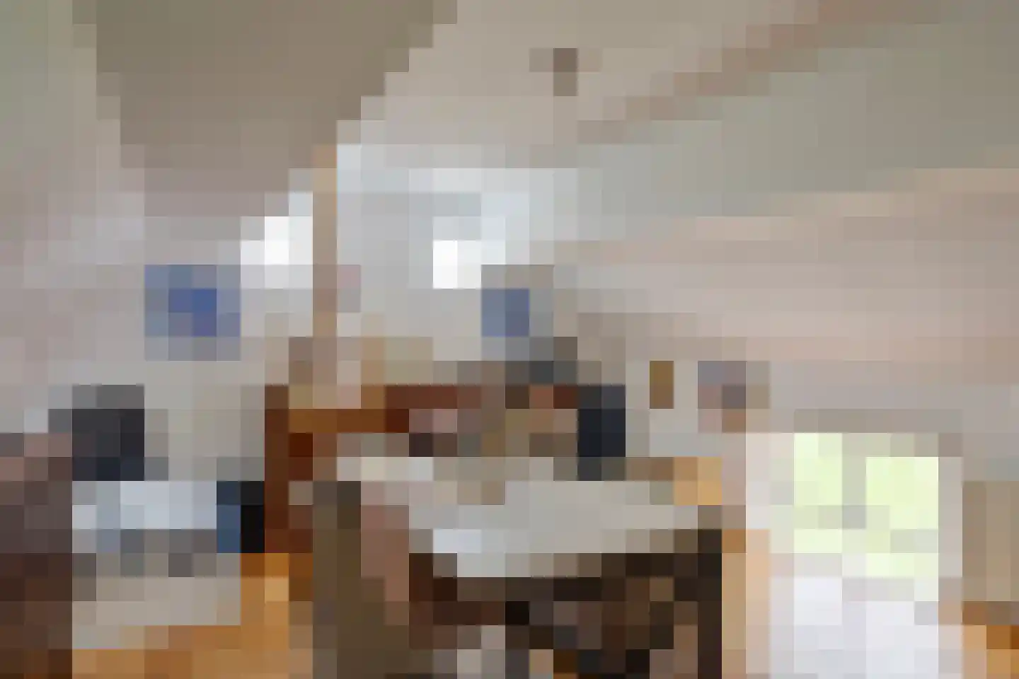 Maasdijk 3 Megen thumbnail 33