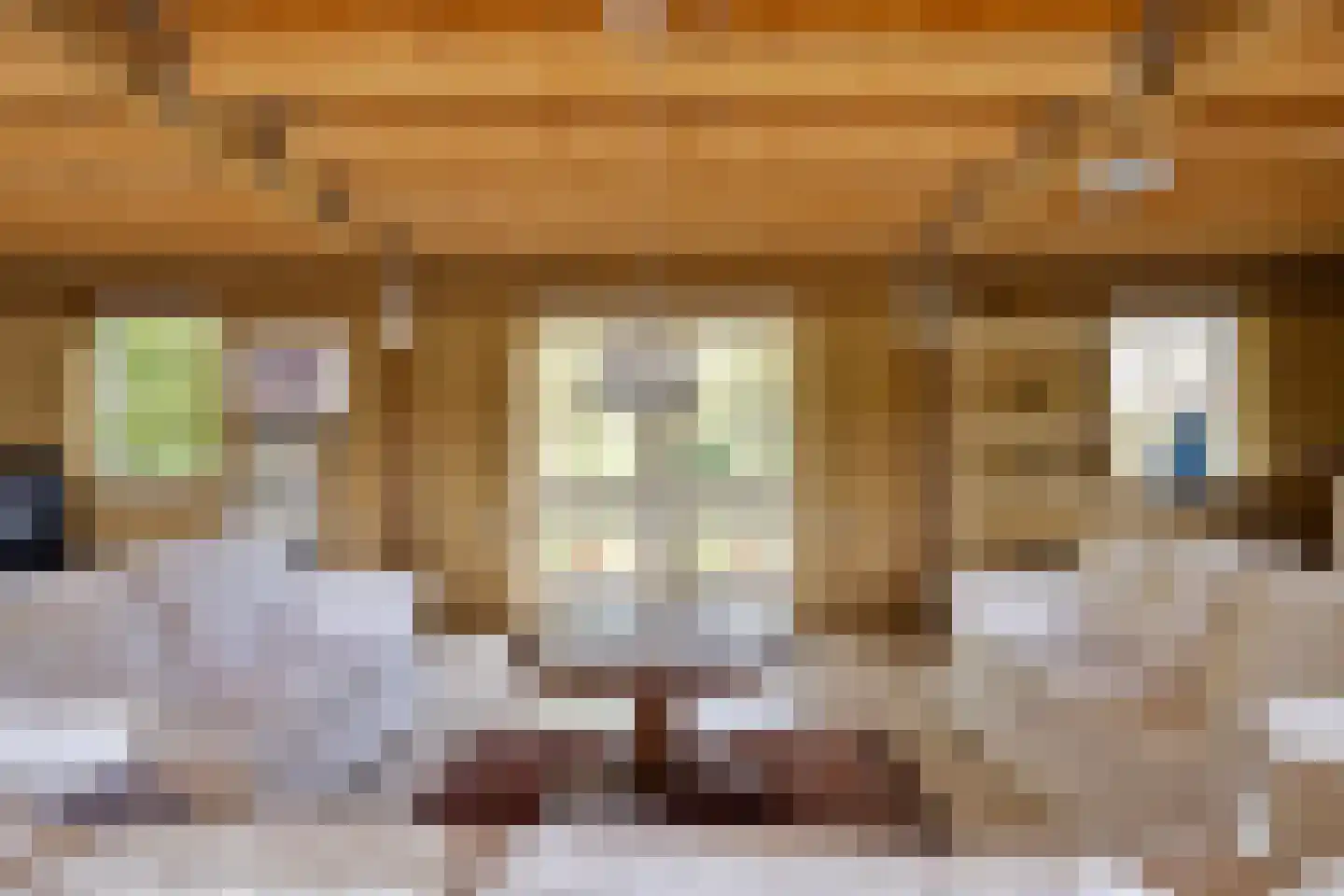 Maasdijk 3 Megen thumbnail 36