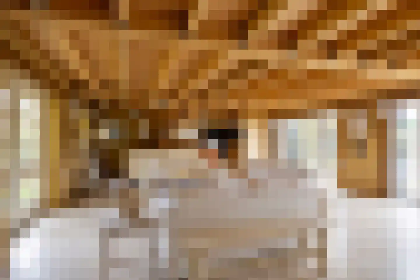 Maasdijk 3 Megen thumbnail 39