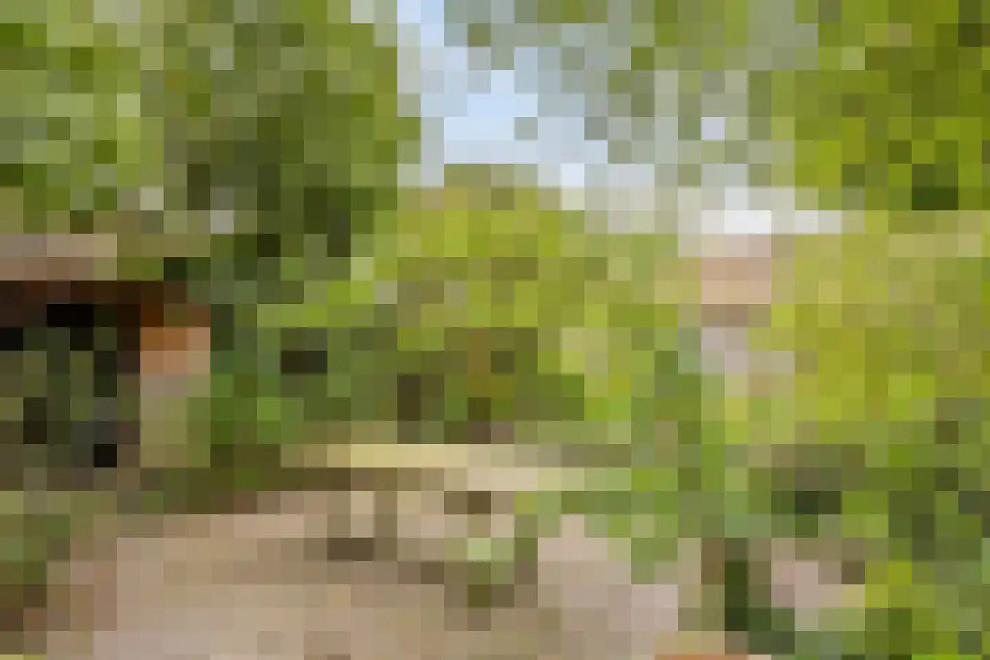 Maasdijk 3 Megen thumbnail 42