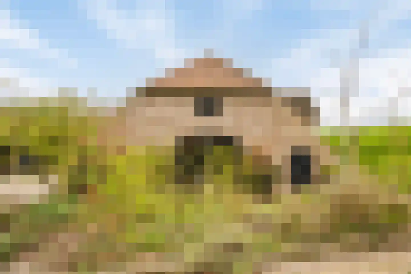 Maasdijk 3 Megen thumbnail 45