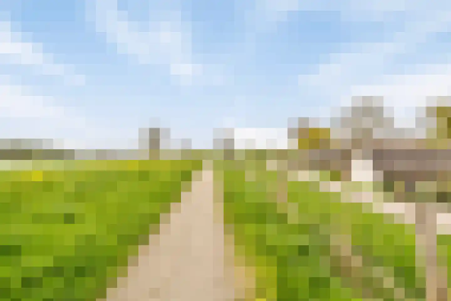 Maasdijk 3 Megen thumbnail 49