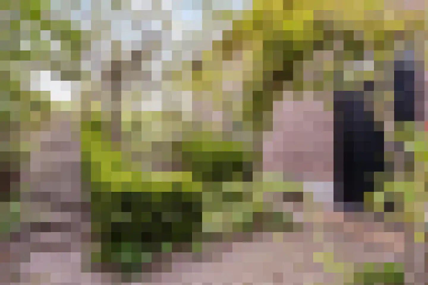 Maasdijk 3 Megen thumbnail 5