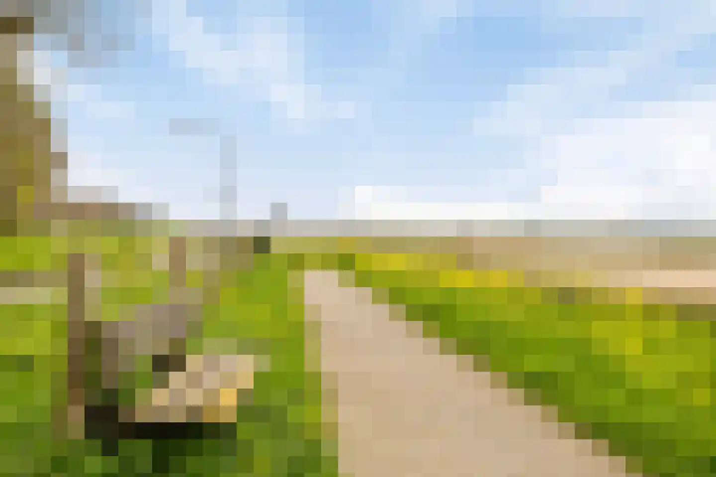 Maasdijk 3 Megen thumbnail 51