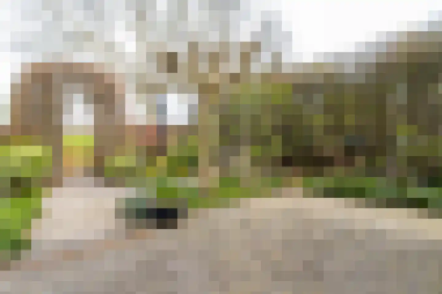Maasdijk 30 Aalst thumbnail 45