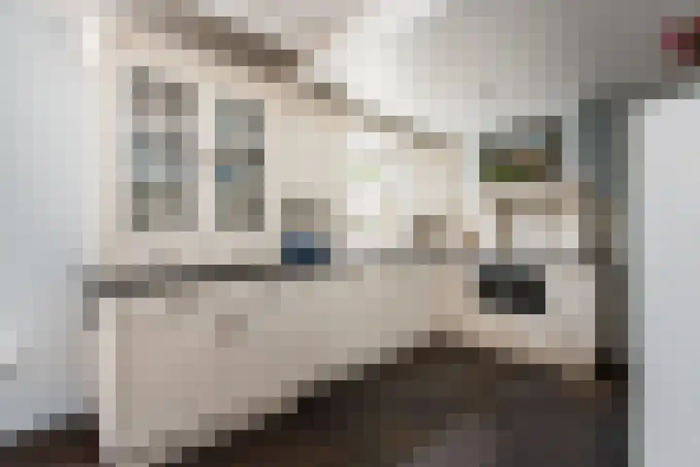 Maasdijk 30 Aalst thumbnail 5