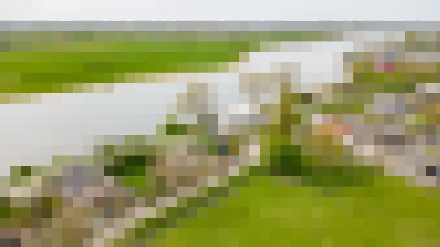Maasdijk 30 Aalst thumbnail 73