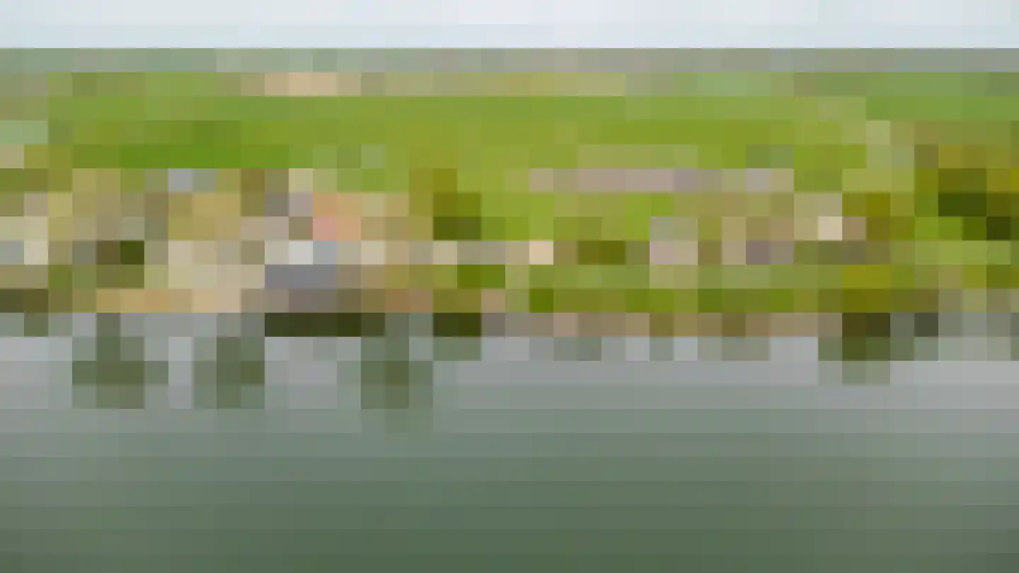 Maasdijk 30 Aalst thumbnail 75