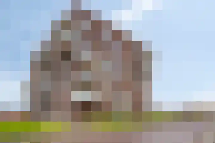 Maasdijk 303 Breda thumbnail 22