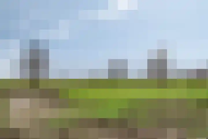 Maasdijk 303 Breda thumbnail 24