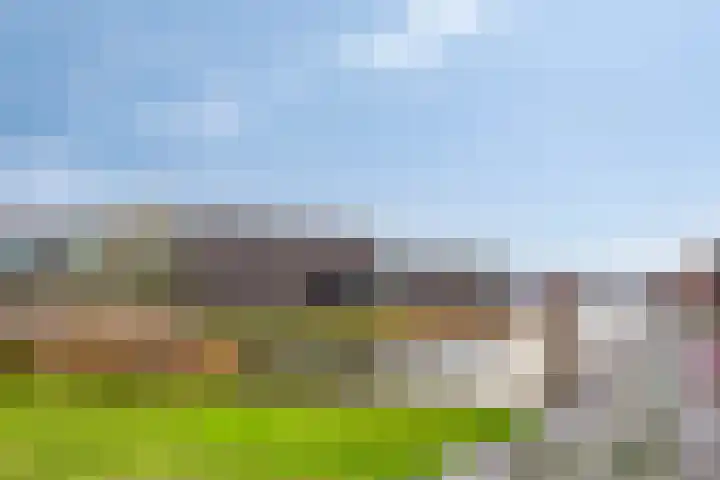 Maasdijk 303 Breda thumbnail 25