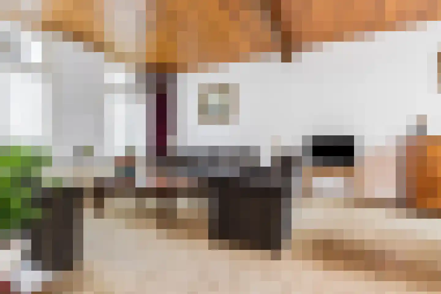 Maasdijk 335 Veen thumbnail 11