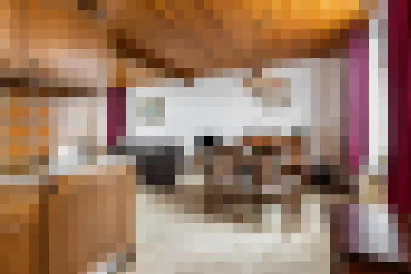 Maasdijk 335 Veen thumbnail 15