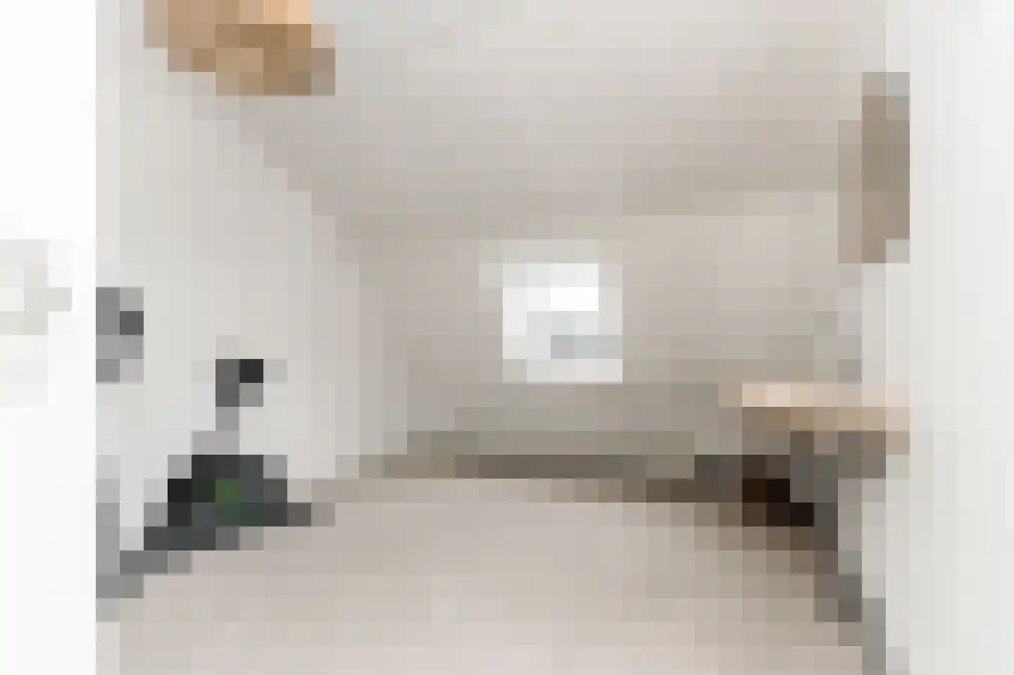 Maasdijk 335 Veen thumbnail 19