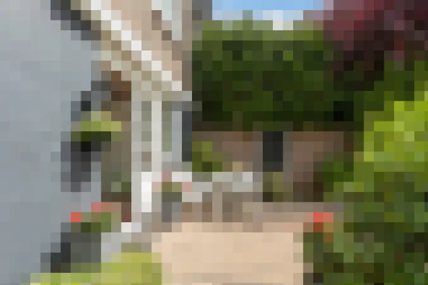 Maasdijk 335 Veen thumbnail 31
