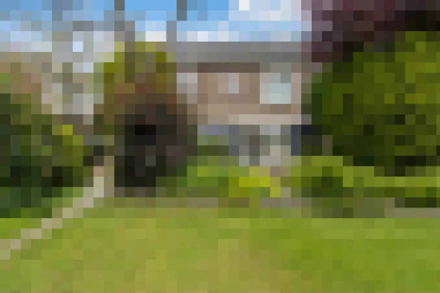 Maasdijk 335 Veen thumbnail 34